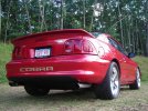 DSCN7617.JPG