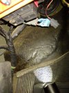 IMG_20220826_175847255.jpg