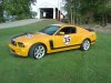 PJ Mustang-101919 001.JPG