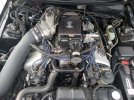 IMG_20220923_081332.jpg