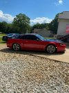 myroush4.jpg