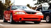 IMG_8335.jpeg