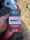 IMG_1206.jpeg