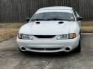IMG_4588.jpeg