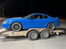 IMG_6586.jpeg