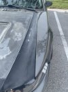 IMG_0388.jpeg