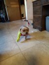 IMG_20240117_163247786.jpg