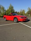 IMG_6754.JPEG