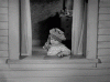 upload_2020-6-8_22-26-50.gif