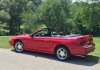 mustang1.jpg mustang1.jpg