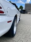 IMG_8014.jpg