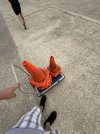 IMG_6450.jpeg