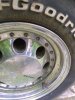 IMG_20200706_115652987.jpg
