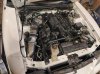 IMG_20200804_204723.jpg