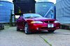 Mustang Cobra 5.jpg