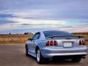 mustang2.jpg