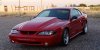 20200617_152734[1].jpg