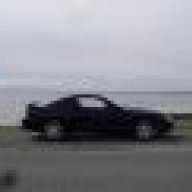 Dan_T_Mustang