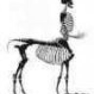 stangu