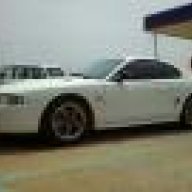 mstg98