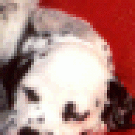 Cobranator