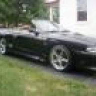 Stang331