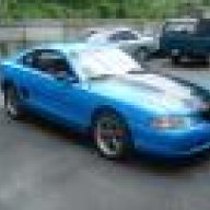 stang95