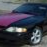 95mustanggirl