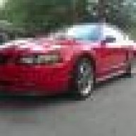 lady_in_red