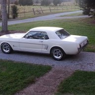 rose62