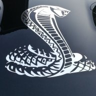 Cobra Norway