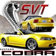 Shelby58