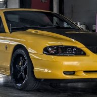 Slalomstallion