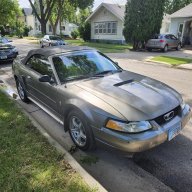 jeffs mustang