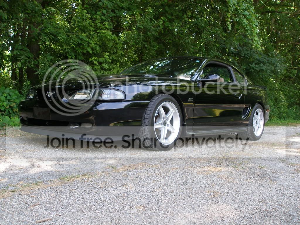 P1010221-1.jpg