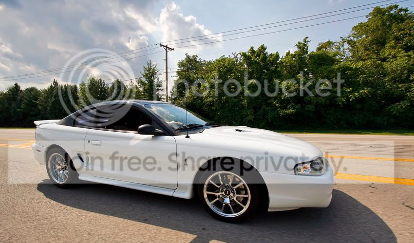 mustang12.jpg