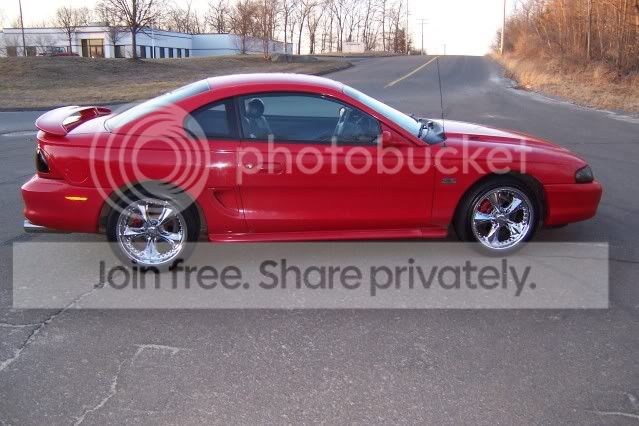 Mustang007.jpg