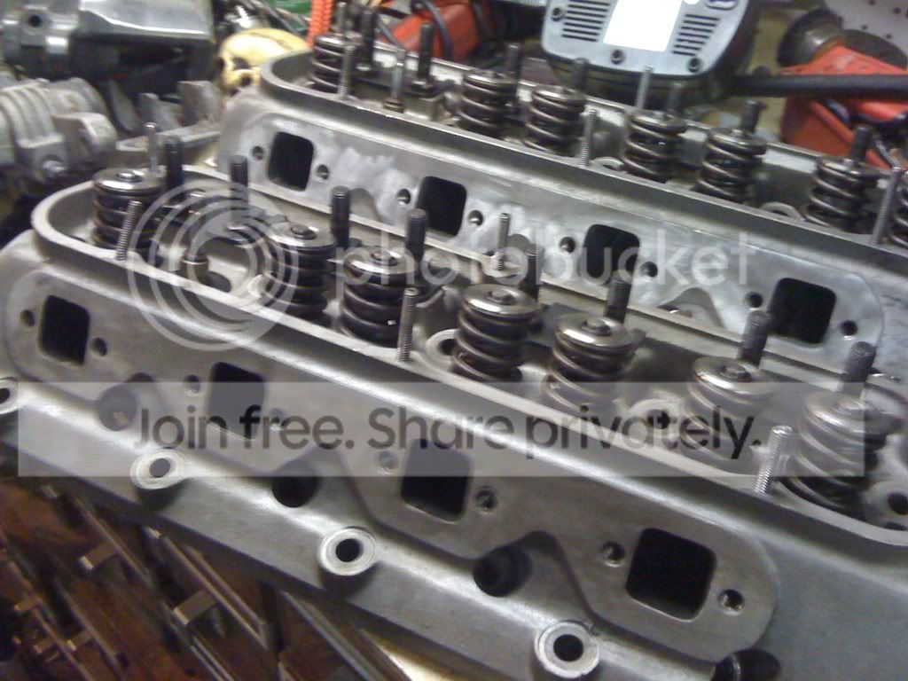 873e3f12.jpg