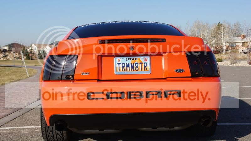 CobraRearShot1HD.jpg