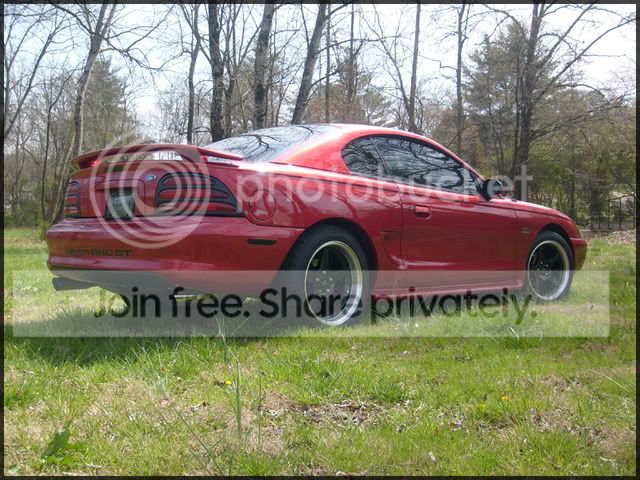 stang008.jpg