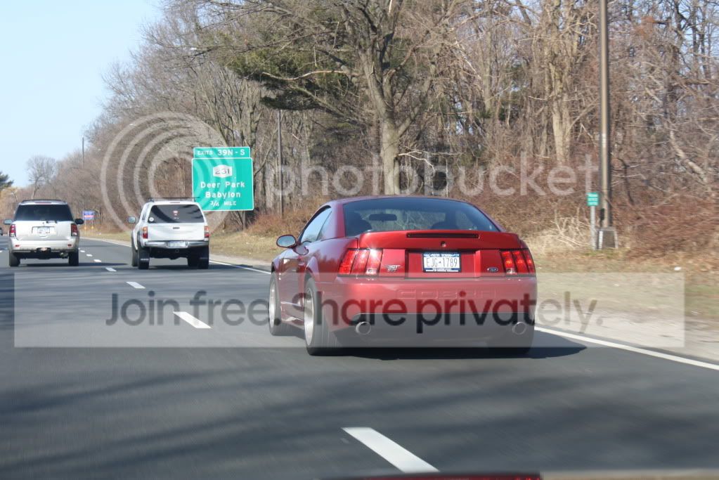 Picture015.jpg