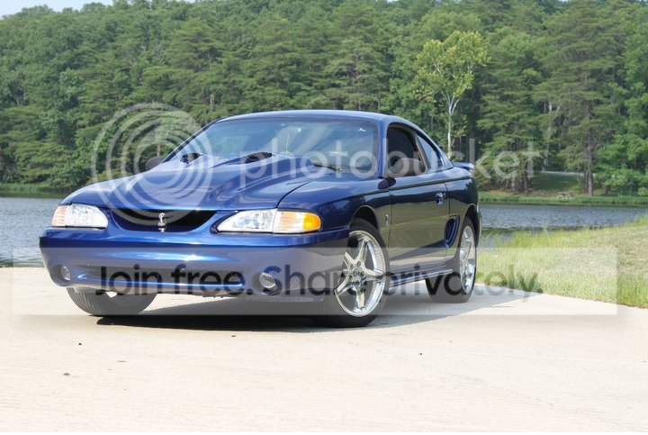 mustang.png