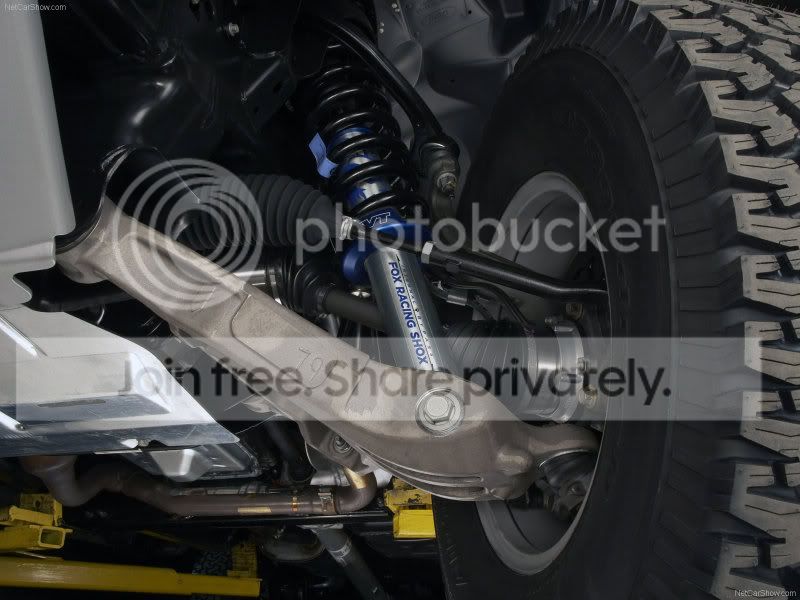 raptor40.jpg