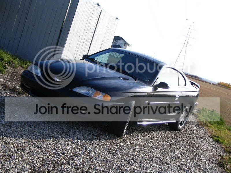 Lowered007.jpg