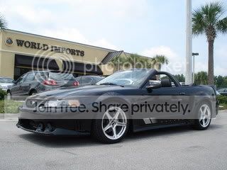 saleen.jpg