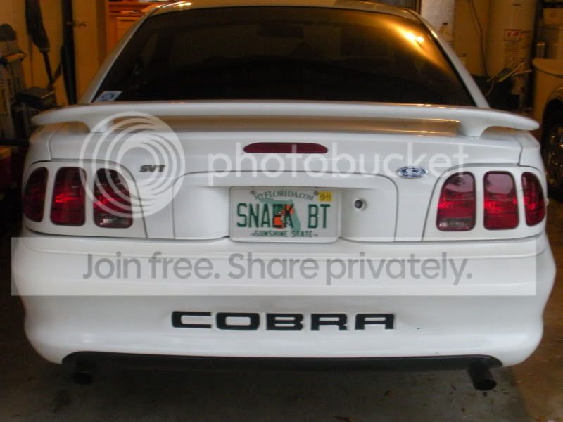 COBRA001.jpg