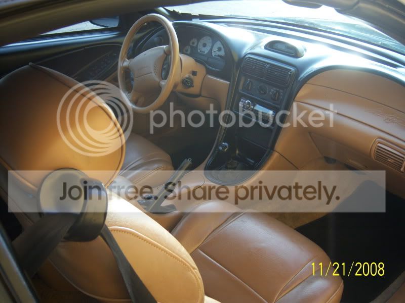 Picture012.jpg