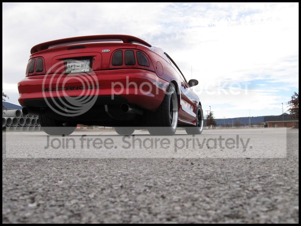 stang028.jpg