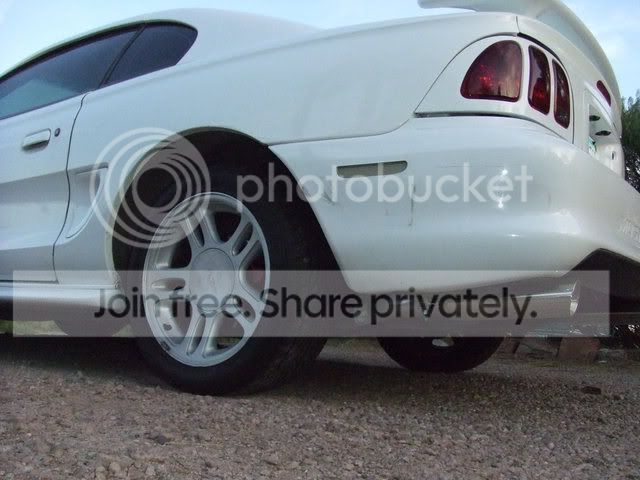 DSCF1224.jpg