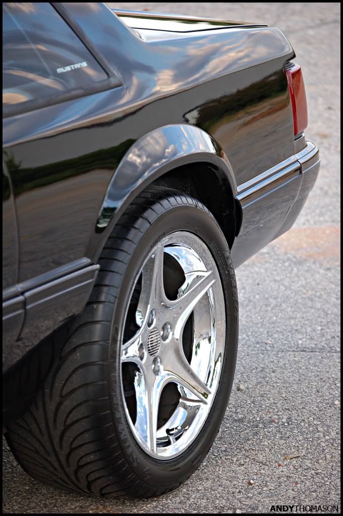 Mustangshoot65.jpg